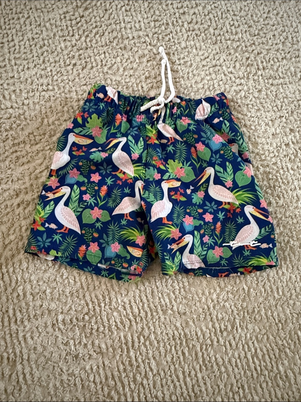 Boys Navy Pelican & Tropical Print Swim Shorts